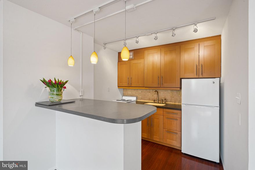 Finally, a studio at 1919 Chestnut with IN-UNIT LAUNDRY, in the best value building in Rittenhouse…a south-facing, bright, and open studio/efficiency unit... WITH PARKING! Freshly painted and updated throughout, this home is ready for immediate enjoyment.

Enter the residence to find multiple storage areas, including a walk-through closet with side by side washer and dryer, leading to the bathroom with lots of counter space. The entry hallway leads to the living room and has another coat closet. Overhead lighting and in-unit climate control warm the spacious living area. The kitchen has updated wood cabinets and a bar-height island with built-in storage and pendant lighting.

Residents at 1919 Chestnut enjoy one of the city's most coveted rooftop pools, on the 30th floor, with 360-degree Skyline views. Off of the lobby, take advantage of Valet PARKING for ONLY $110/month for one car. A 5-space loading dock is available in the rear of the building for easy pick-up and drop-off. Building and facilities management are located on site. WPH is central to phenomenal dining, shopping, and living, with close proximity to The University of Pennsylvania, Penn Medicine, and Jefferson Hospital Systems, Center City business district, 30th Street Station, and easy access to 76. Monthly fee covers ALL REAL ESTATE TAXES & ALL UTILITIES including heat, air conditioning, electric, basic cable, and water, as well as building maintenance. WPH has NEVER had an ASSESSMENT!