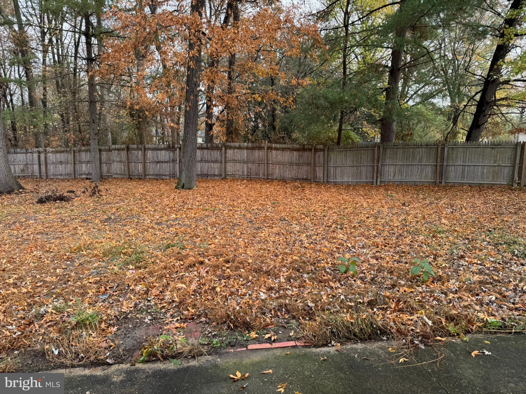 CARRINGTON - Residential