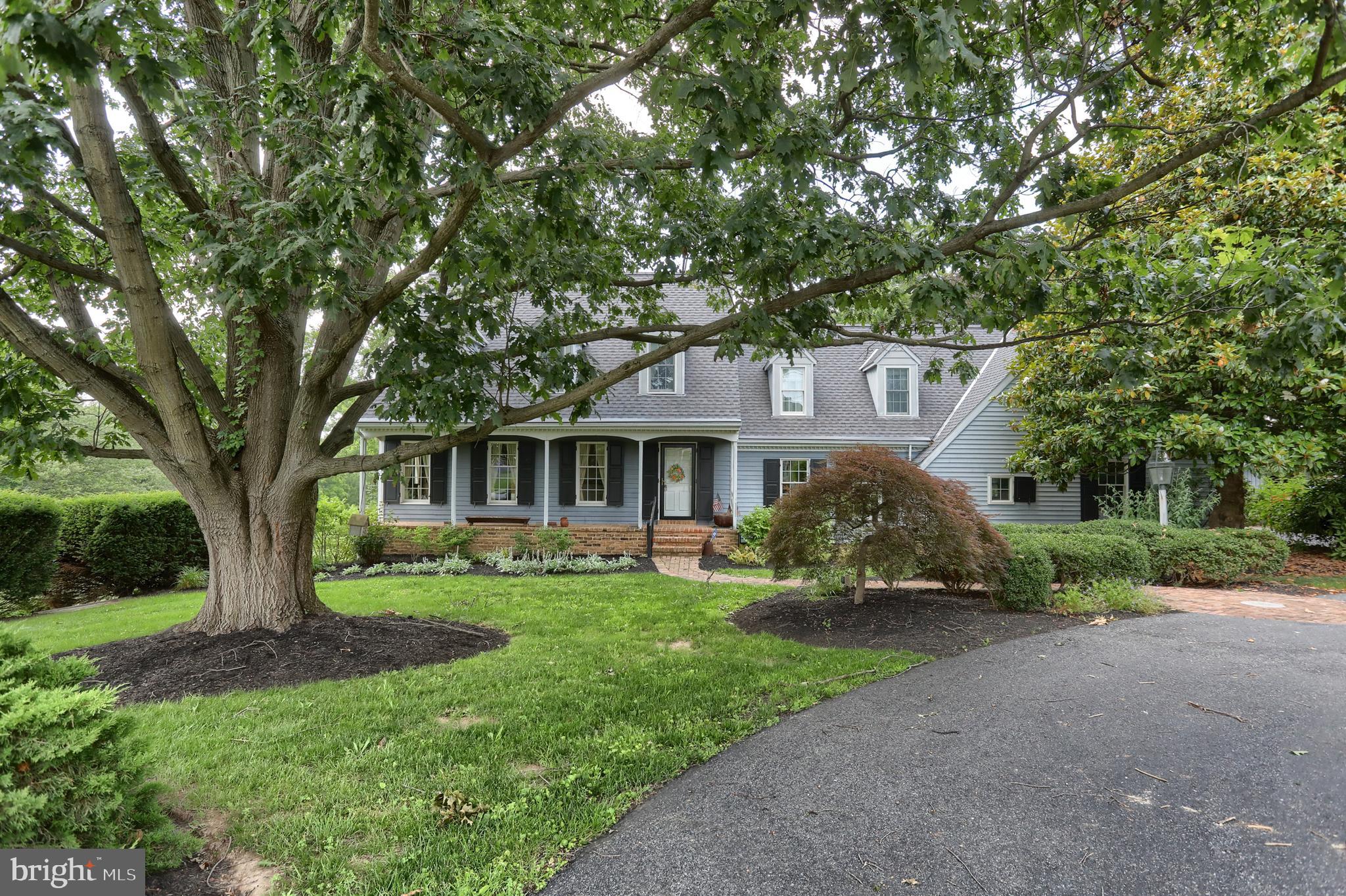 1111 BEAR CREEK ROAD