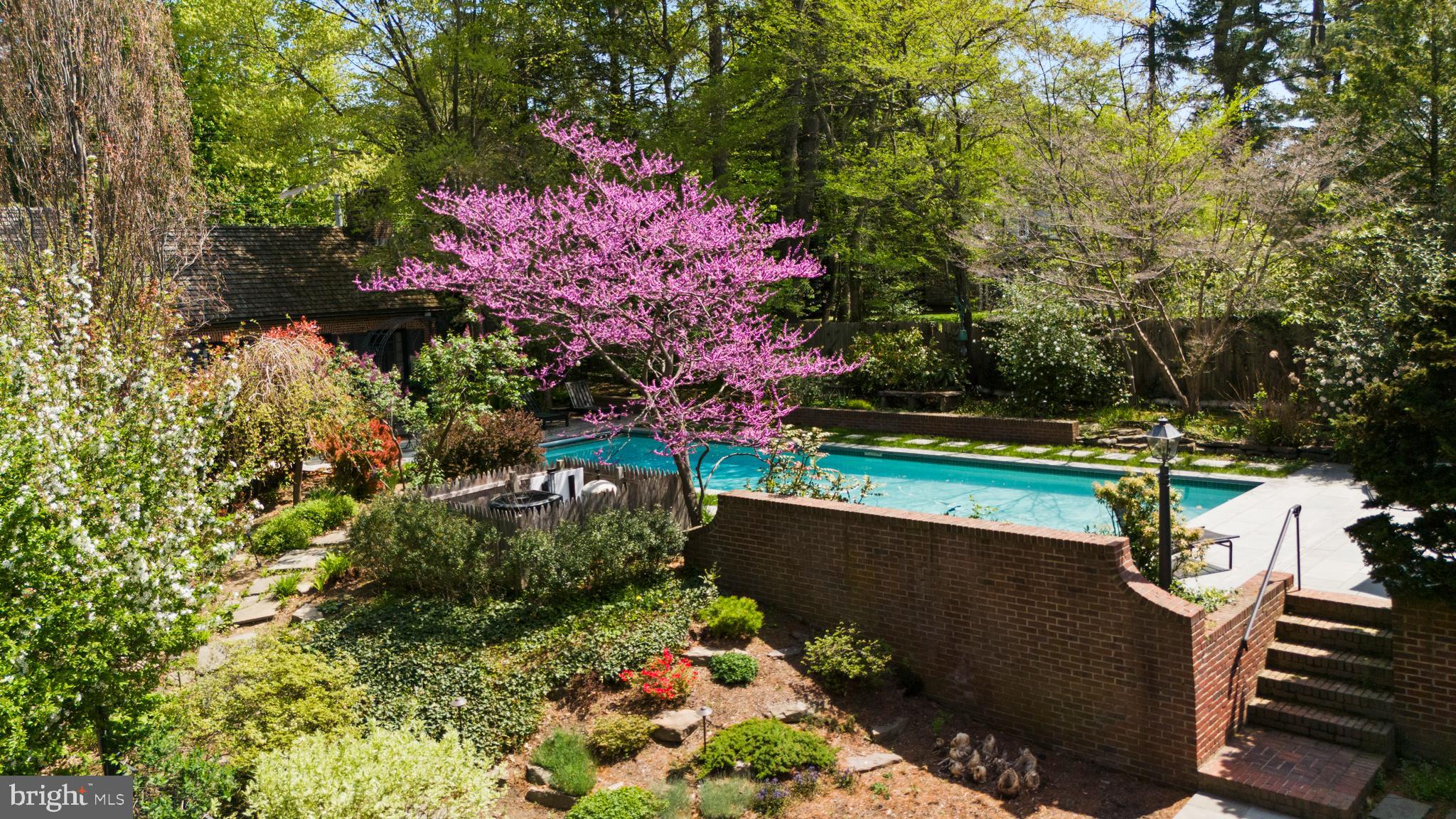 CHESTNUT HILL - Residential