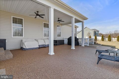 listing image 64