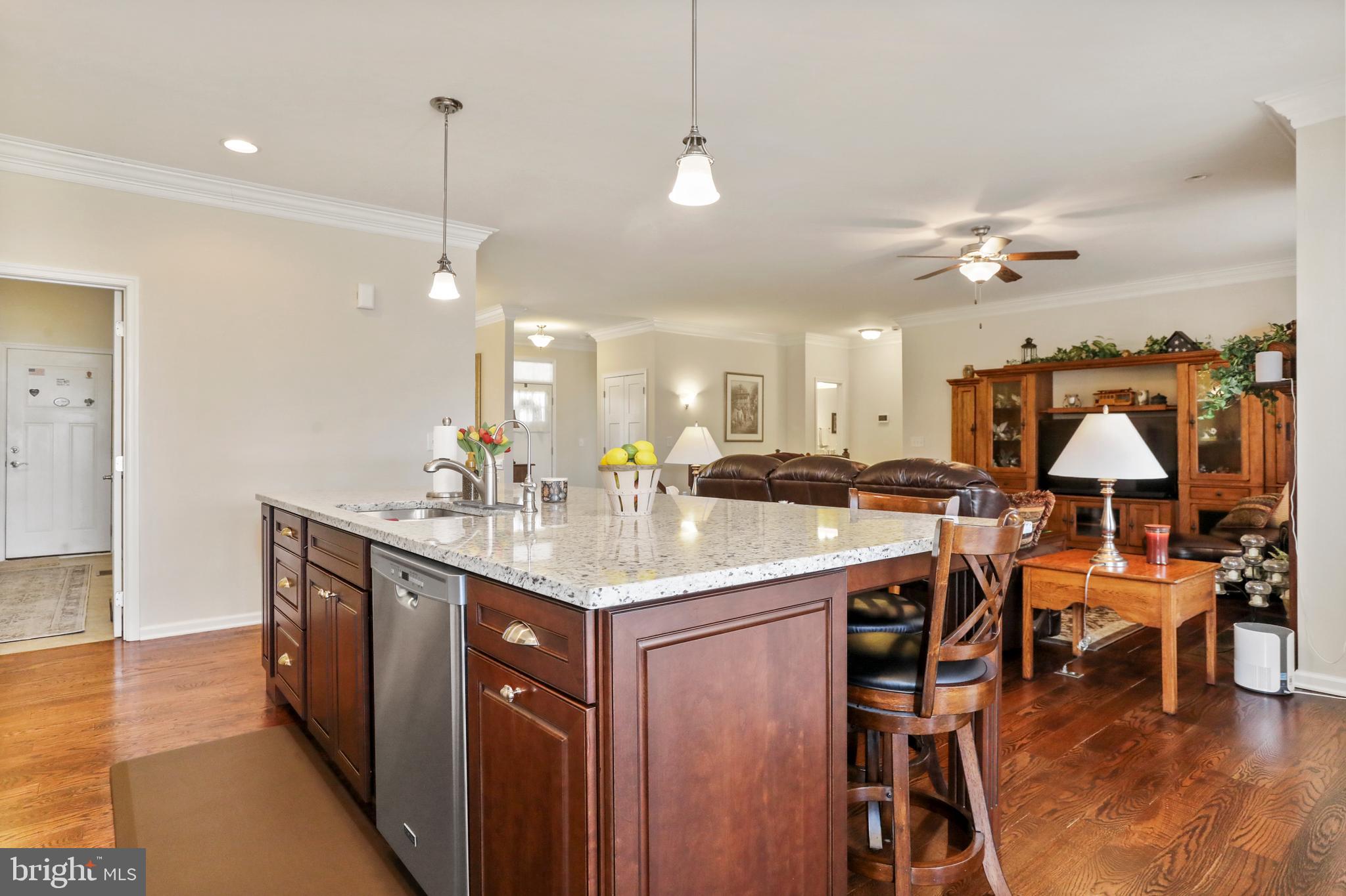 LITTLE GEORGETOWN ESTATES - Residential