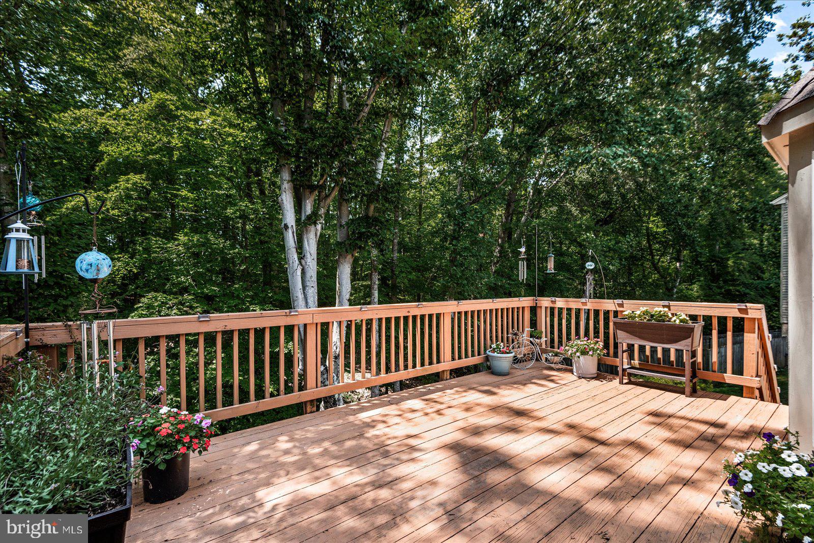 WHITSON RIDGE - Residential