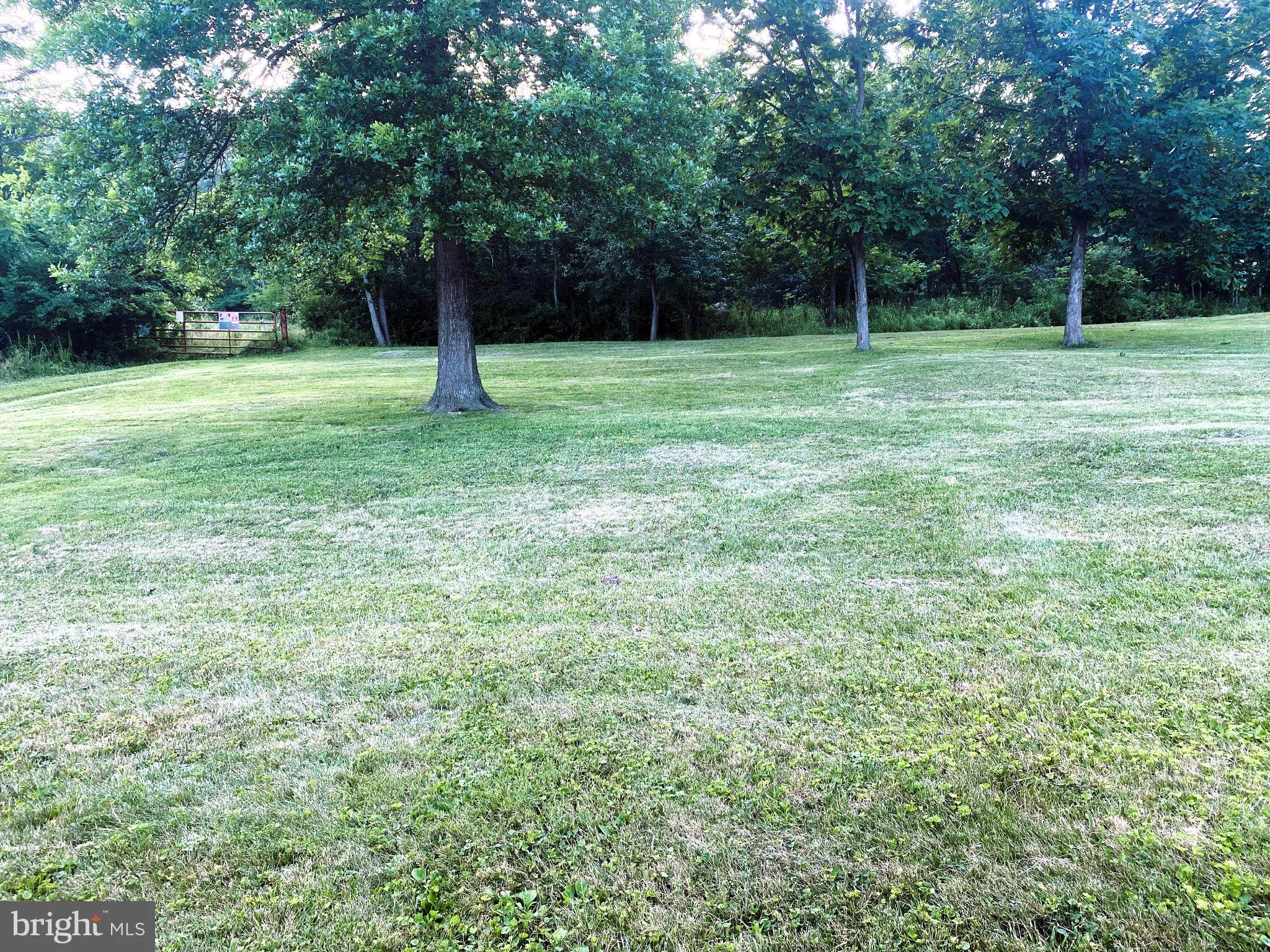 Additional image 54 of 15117 Haines Drive SW, Cresaptown, MD 21502