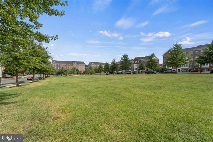 POTOMAC CLUB II - Residential Lease