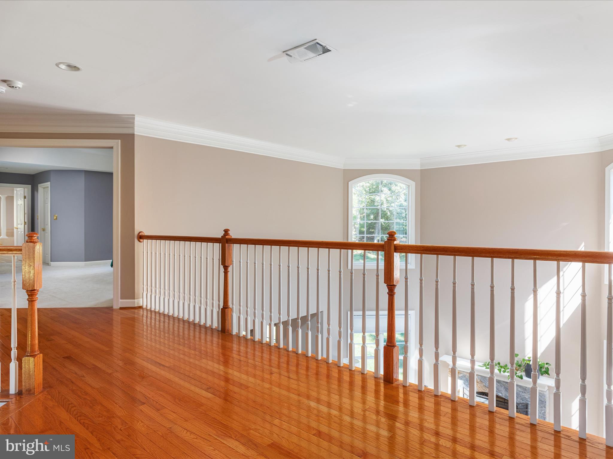 ELLIS PLANTATION - Residential