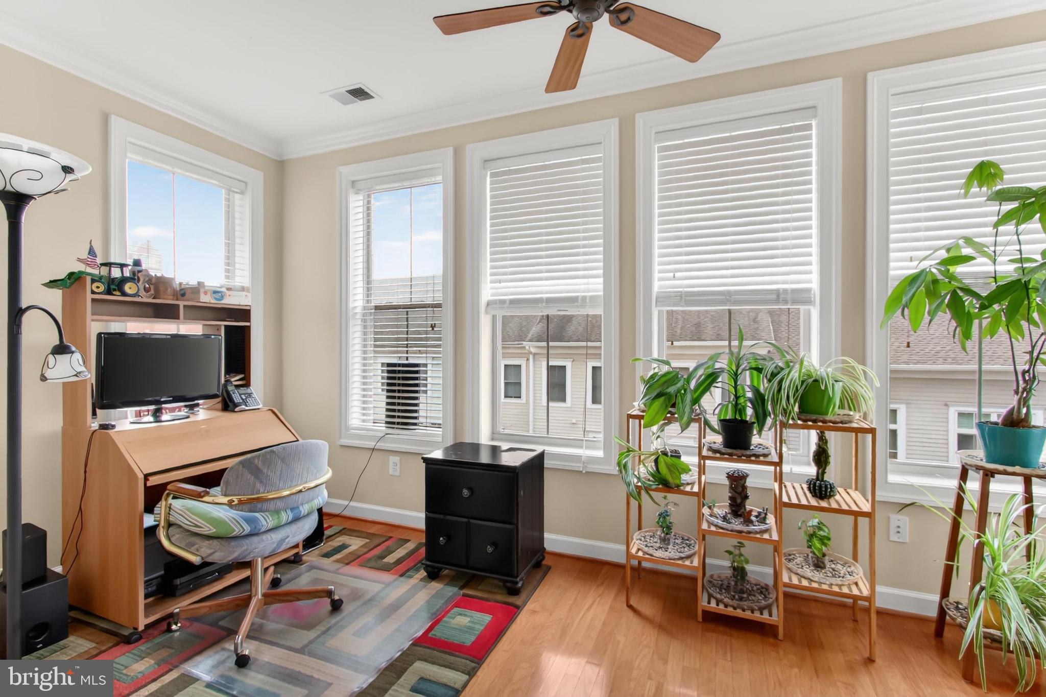 BELMONT BAY - Residential