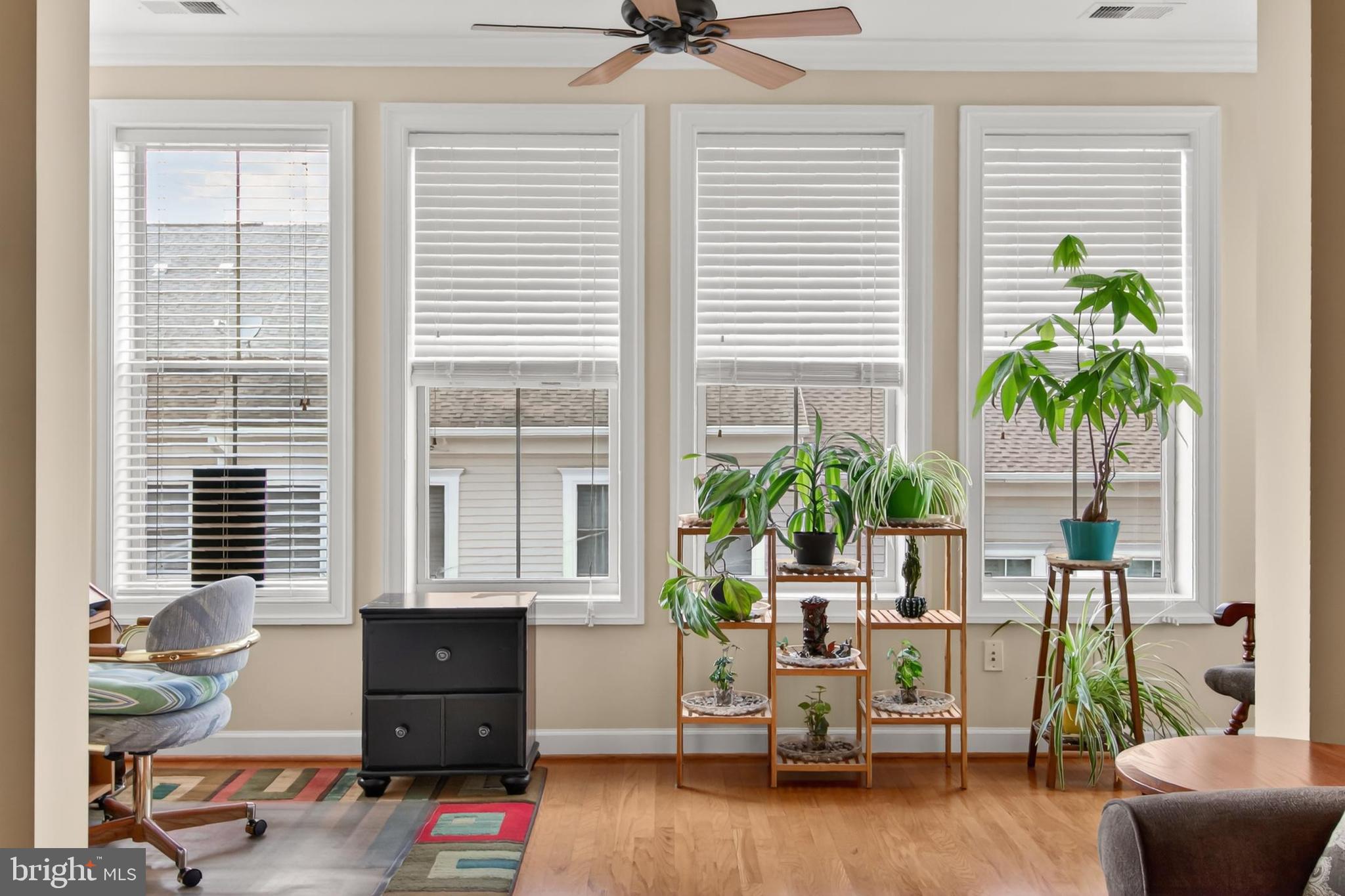 BELMONT BAY - Residential