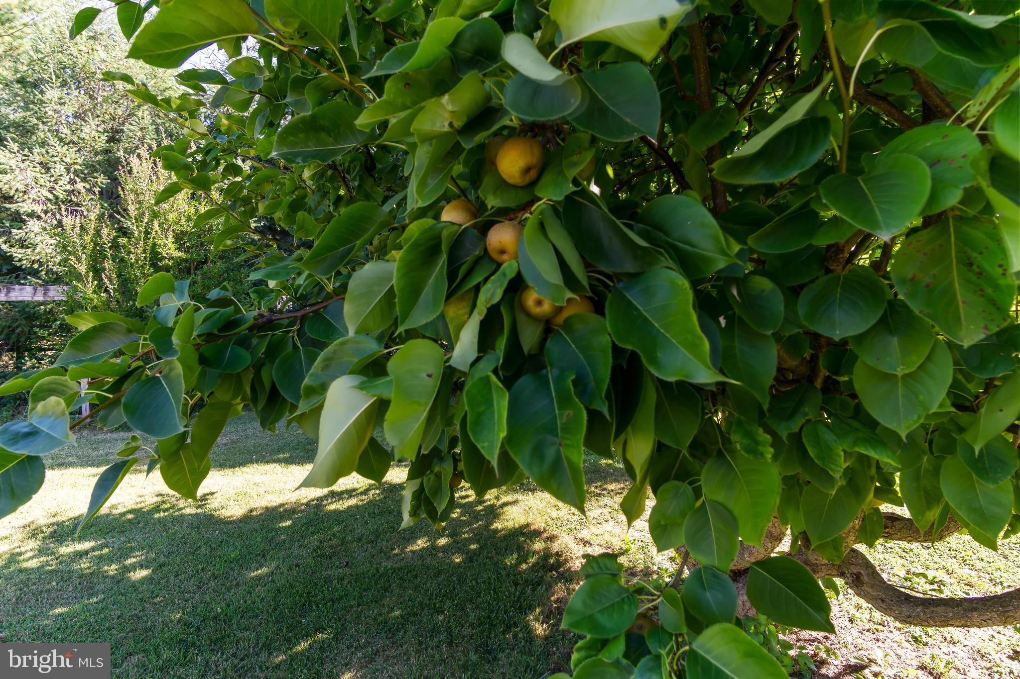 FOUNTAINHEAD NORTH - Residential