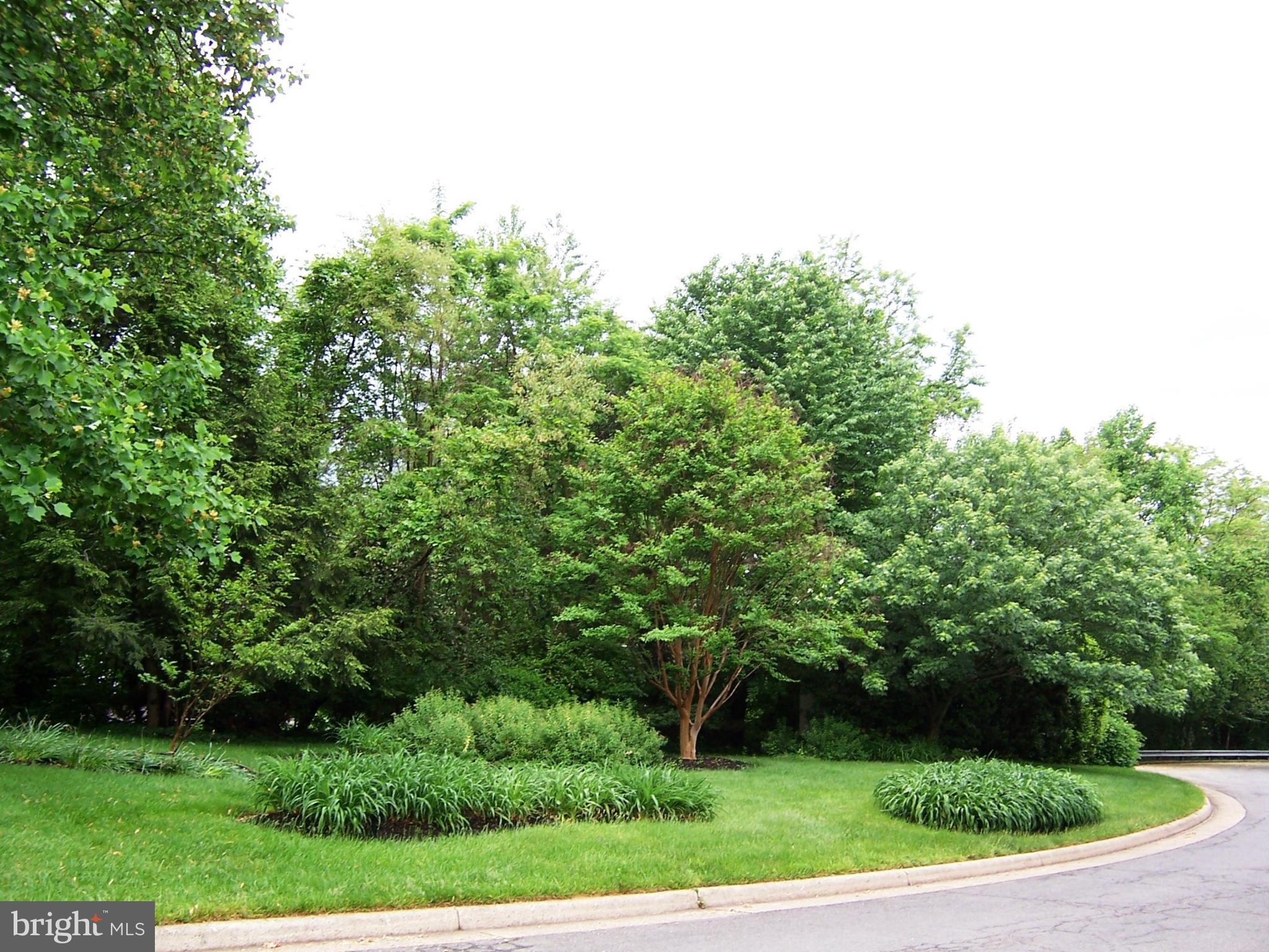 MONTIVIDEO SQUARE - Residential