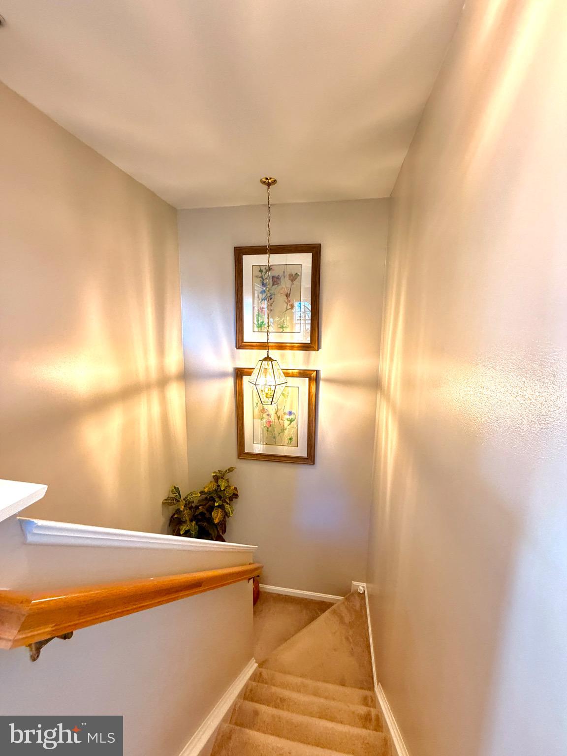 WELLINGTON TRACE - Residential