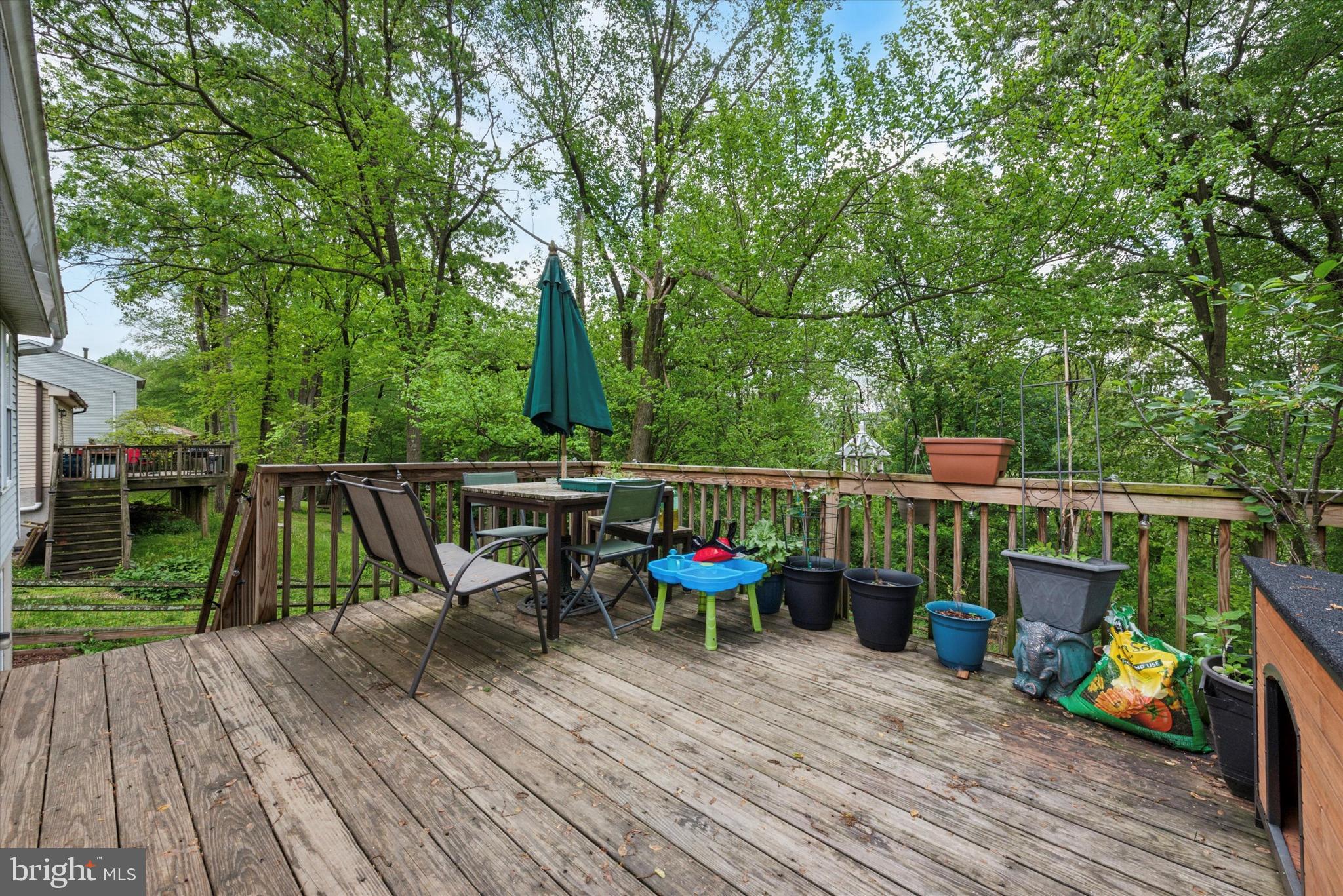 HIDDEN FOREST - Residential