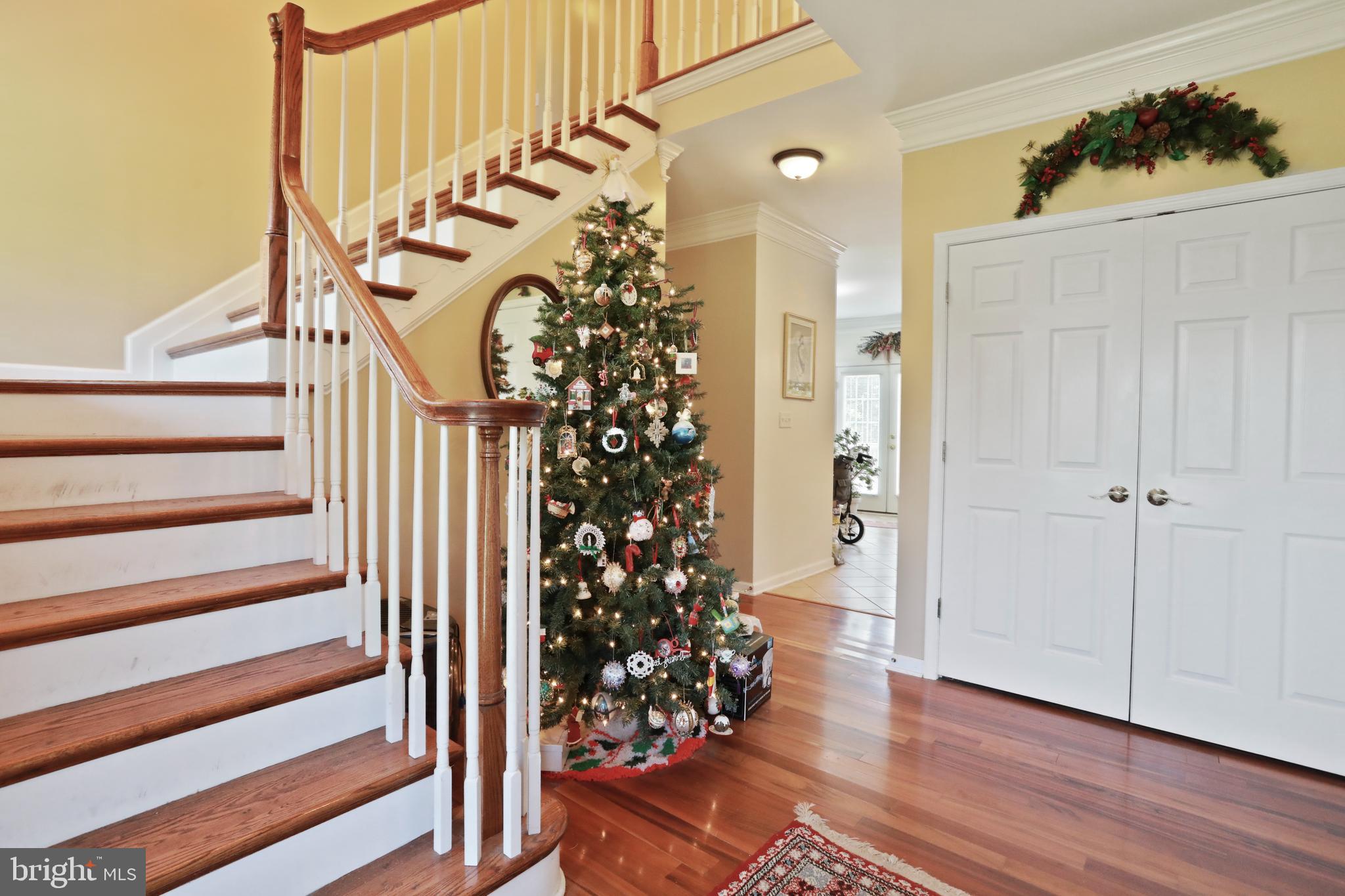 FOREST HAVEN - Residential