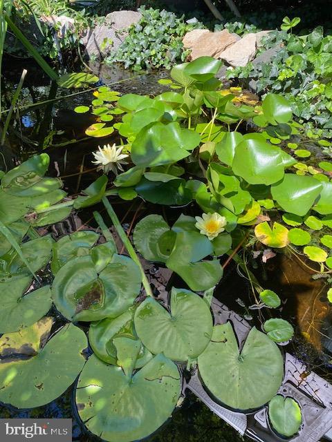 OAK FOREST - Residential