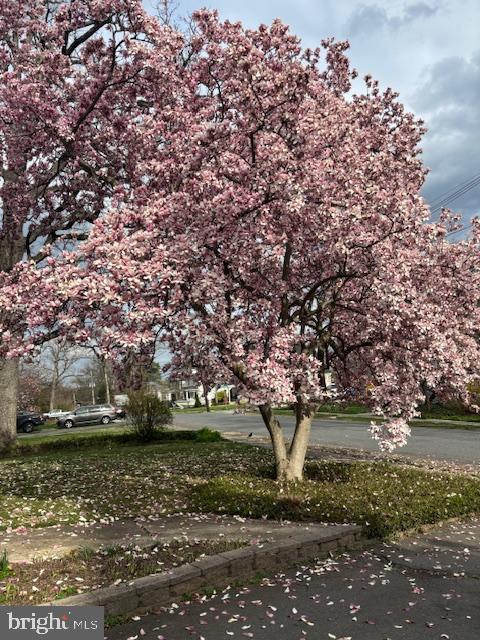 OAK FOREST - Residential