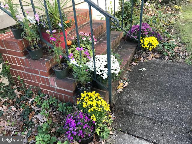 OAK FOREST - Residential