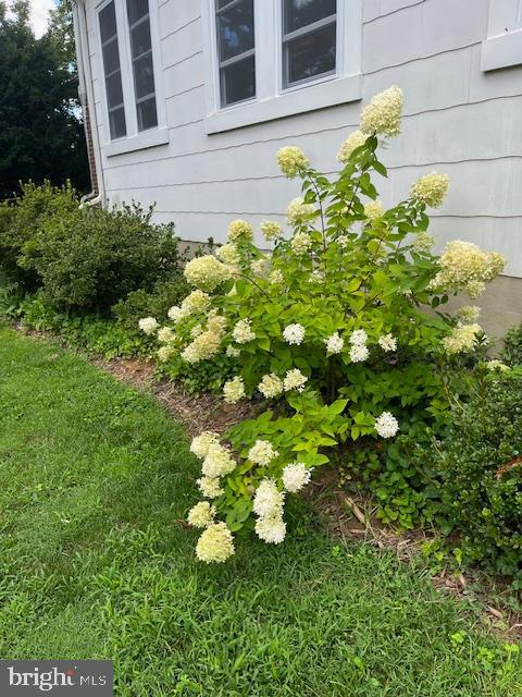 OAK FOREST - Residential