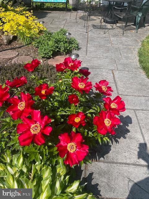 OAK FOREST - Residential