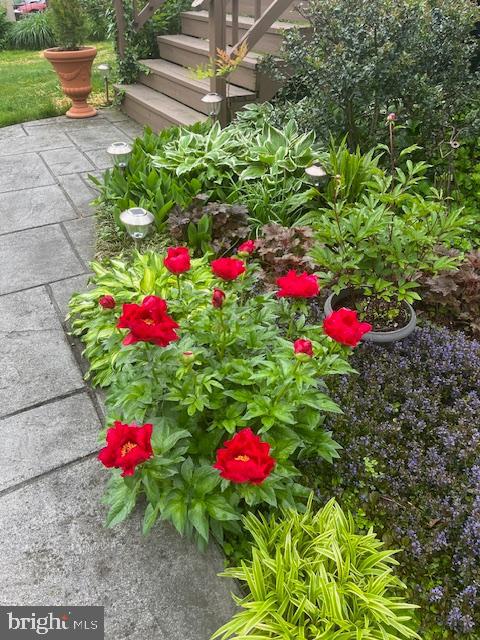 OAK FOREST - Residential