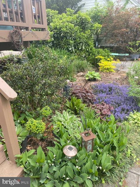 OAK FOREST - Residential