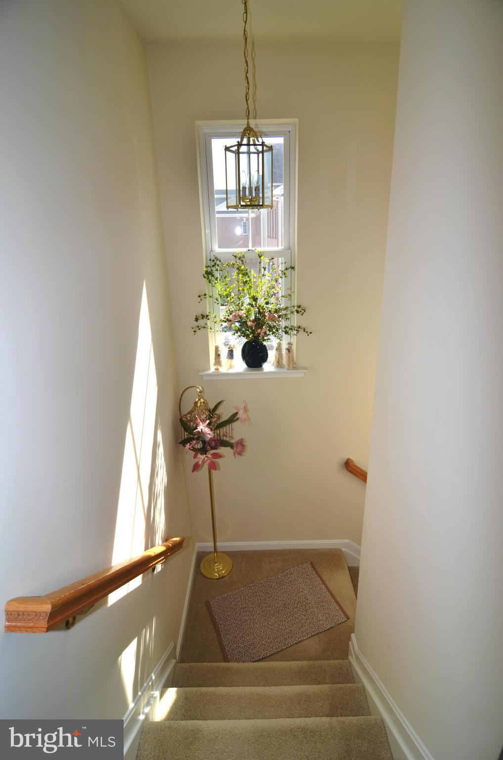 ST CHARLES SUB - SHEFFIELD - Residential Lease