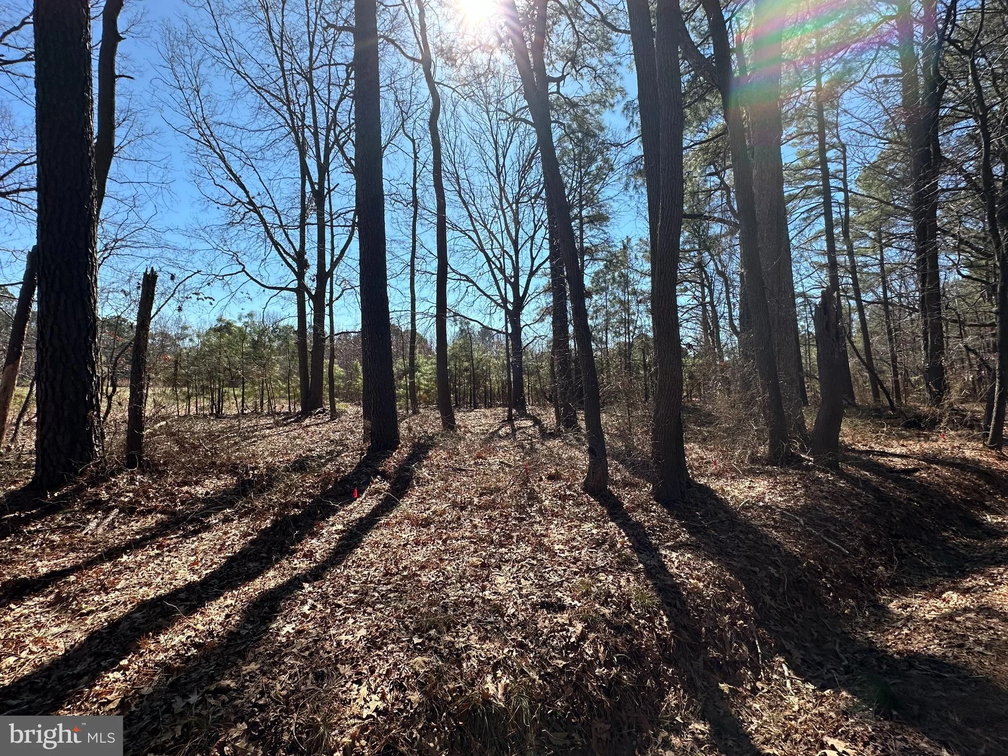 Cooper Point Road, Bozman, MD 21612 | MDTA2013120 | Nestfully