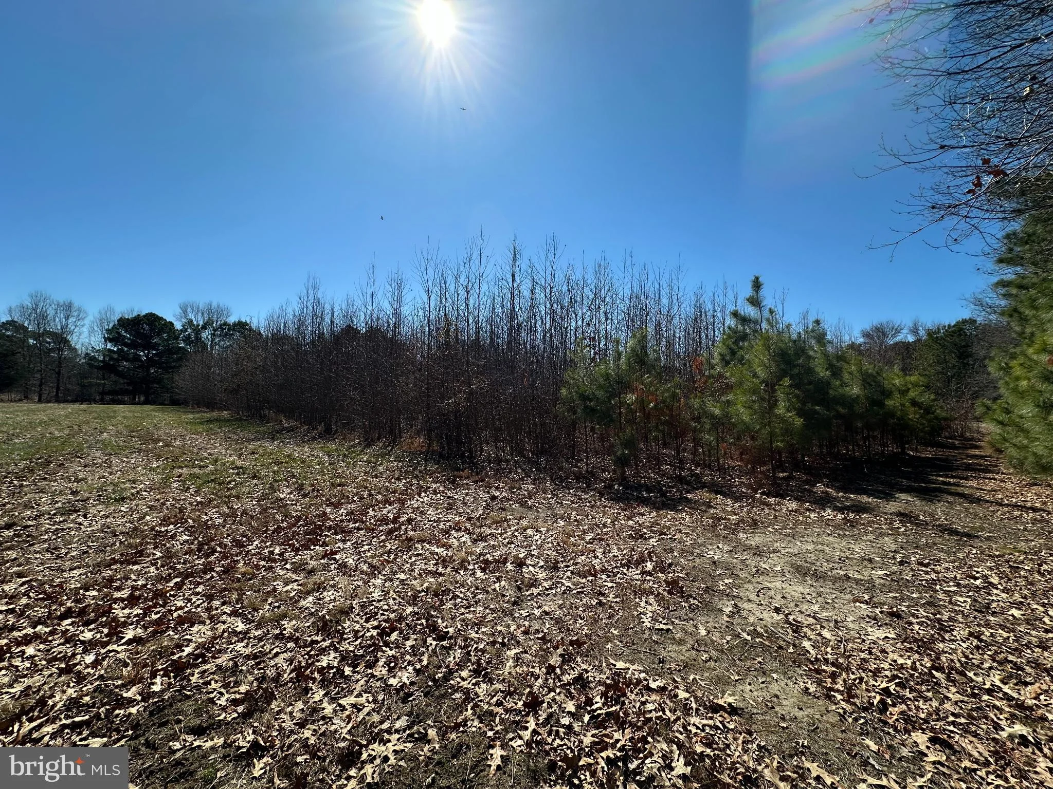 Cooper Point Road, Bozman, MD 21612 | MDTA2013120 | Nestfully