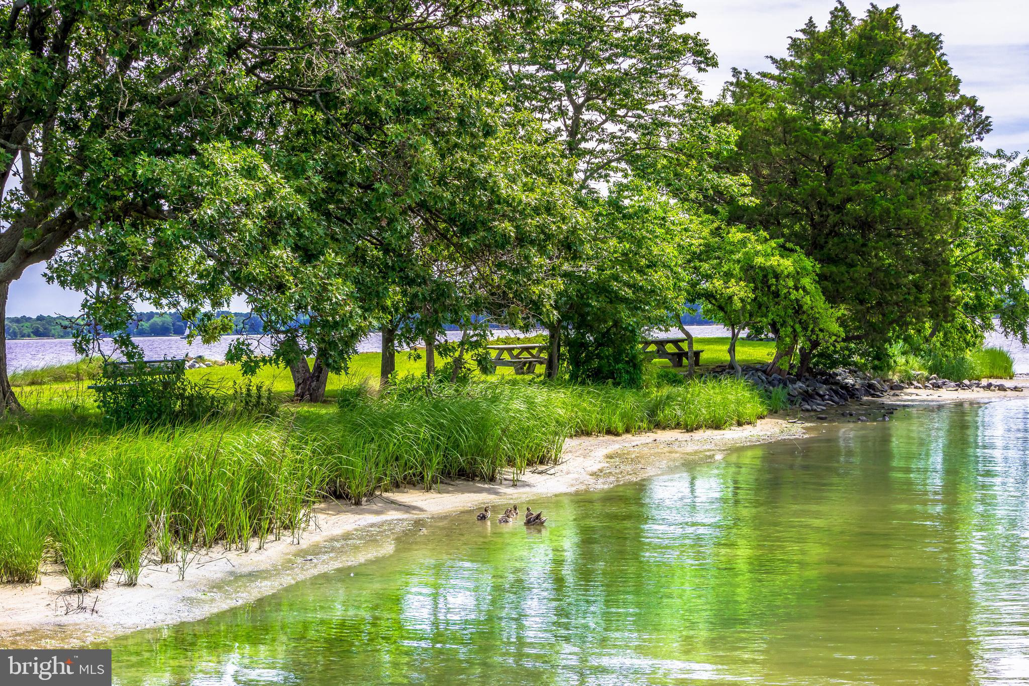 RIO VISTA - Residential