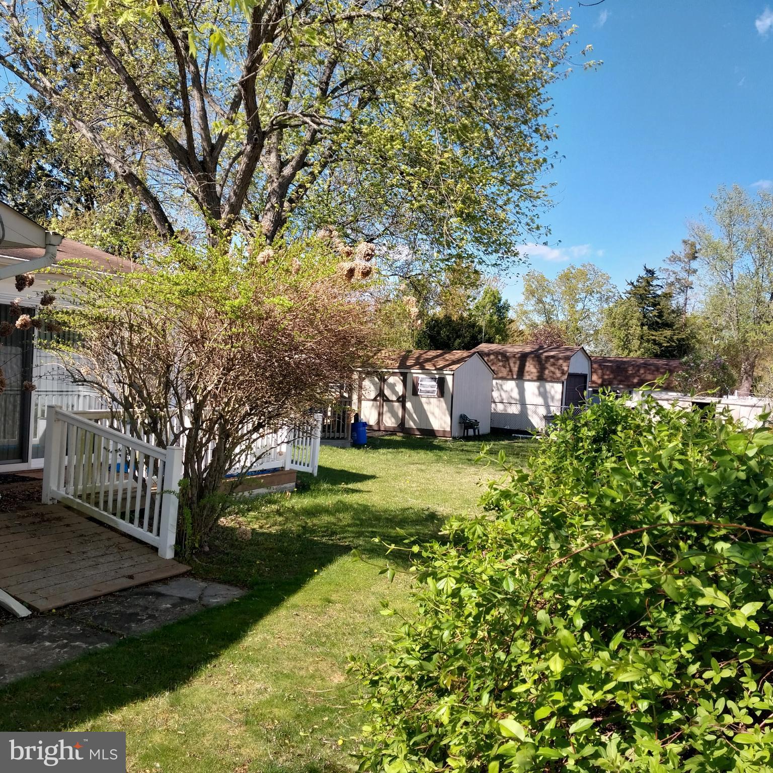 1009 MASSACHUSETTS AVENUE