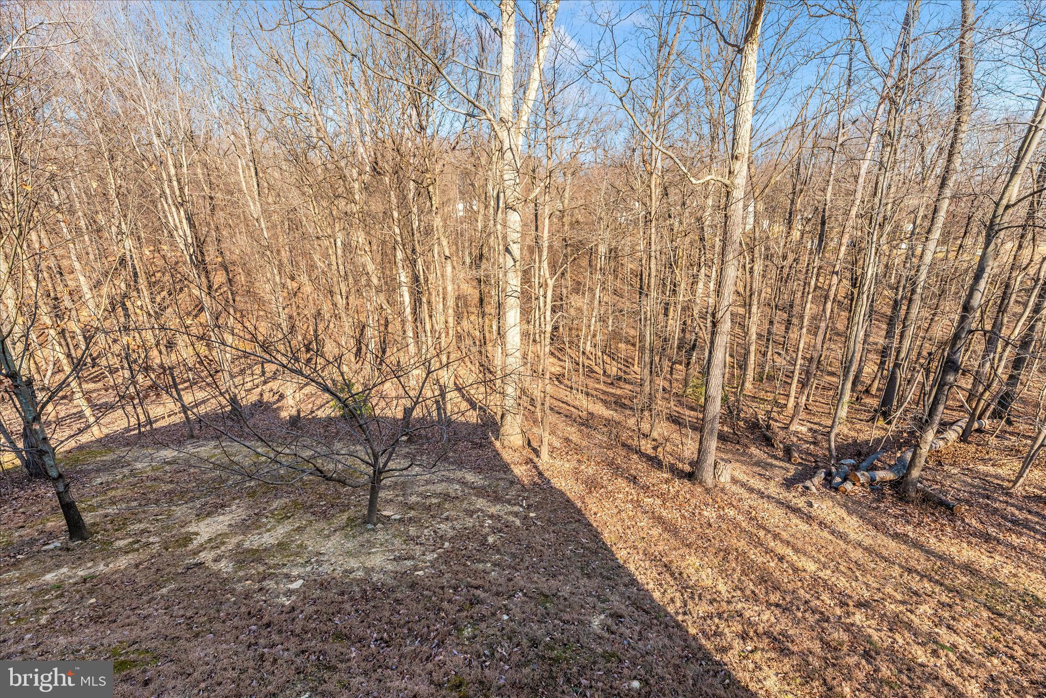 FOREST GLEN II - Residential