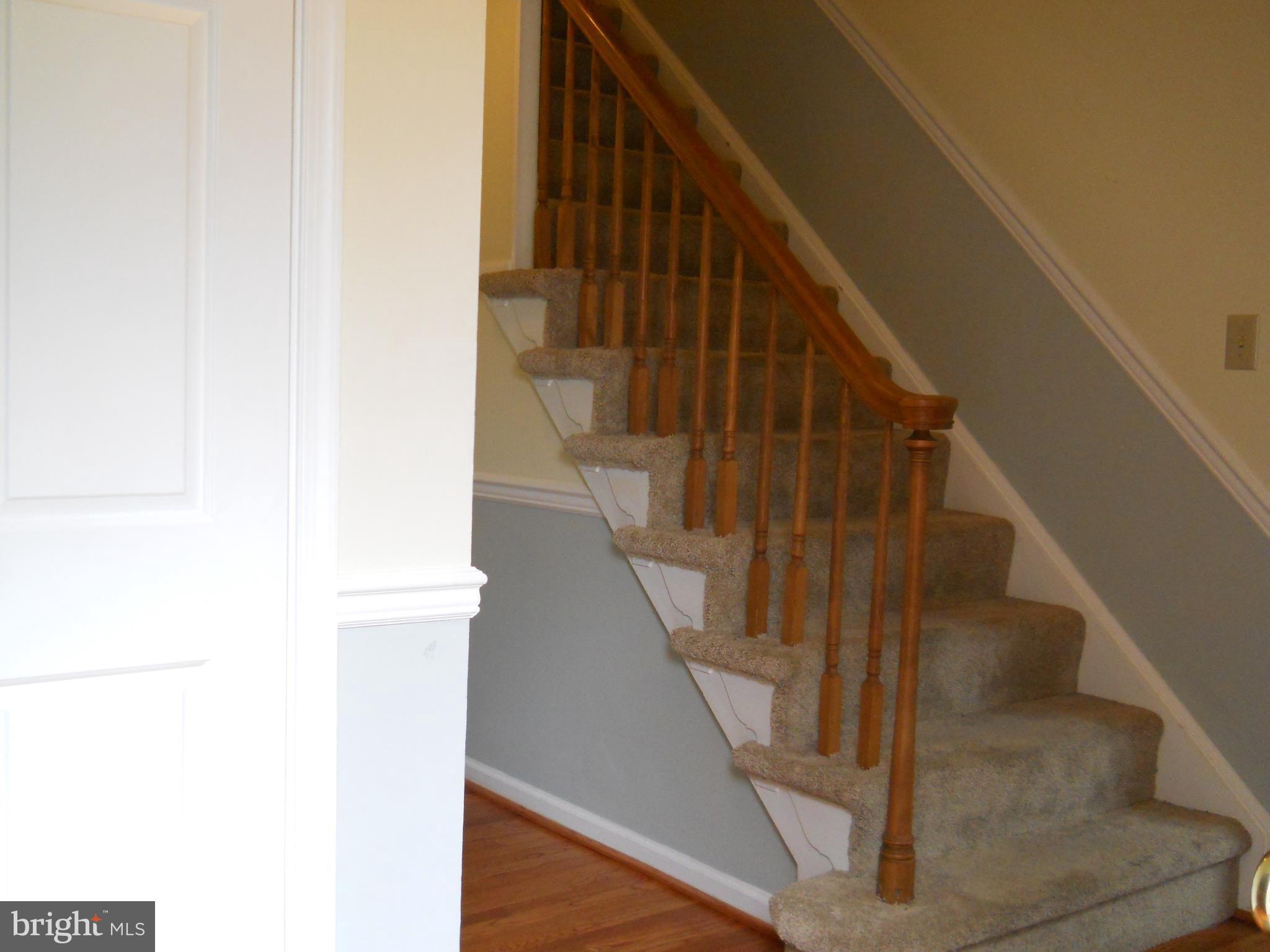 MAYDALE - Residential Lease