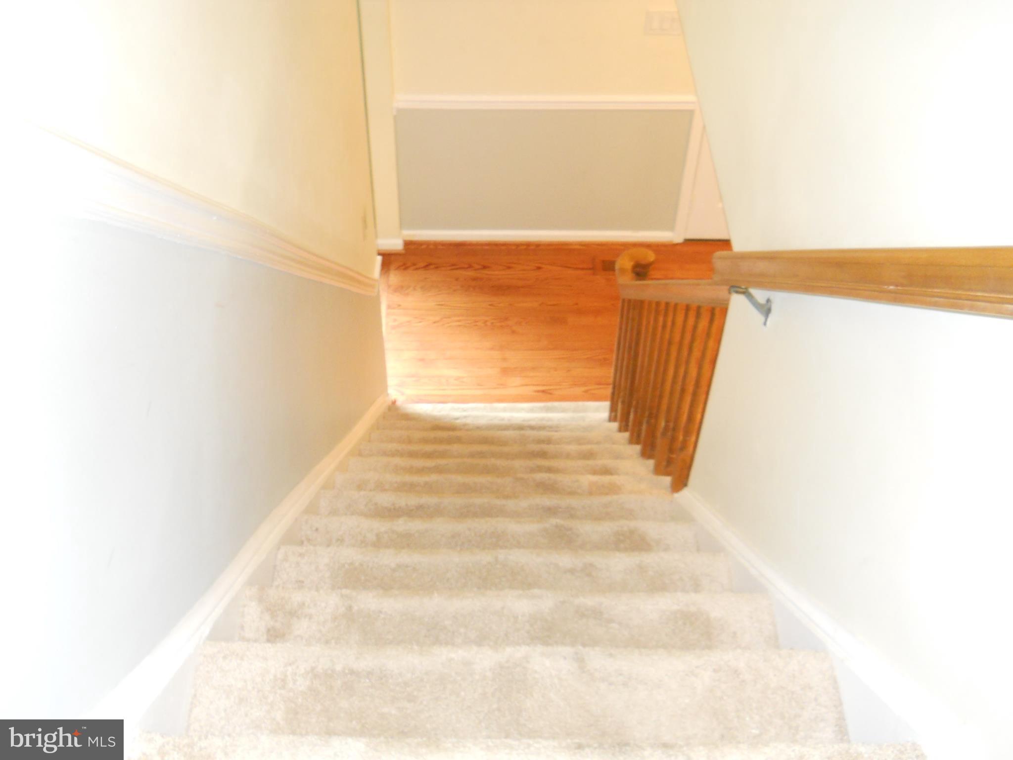 MAYDALE - Residential Lease