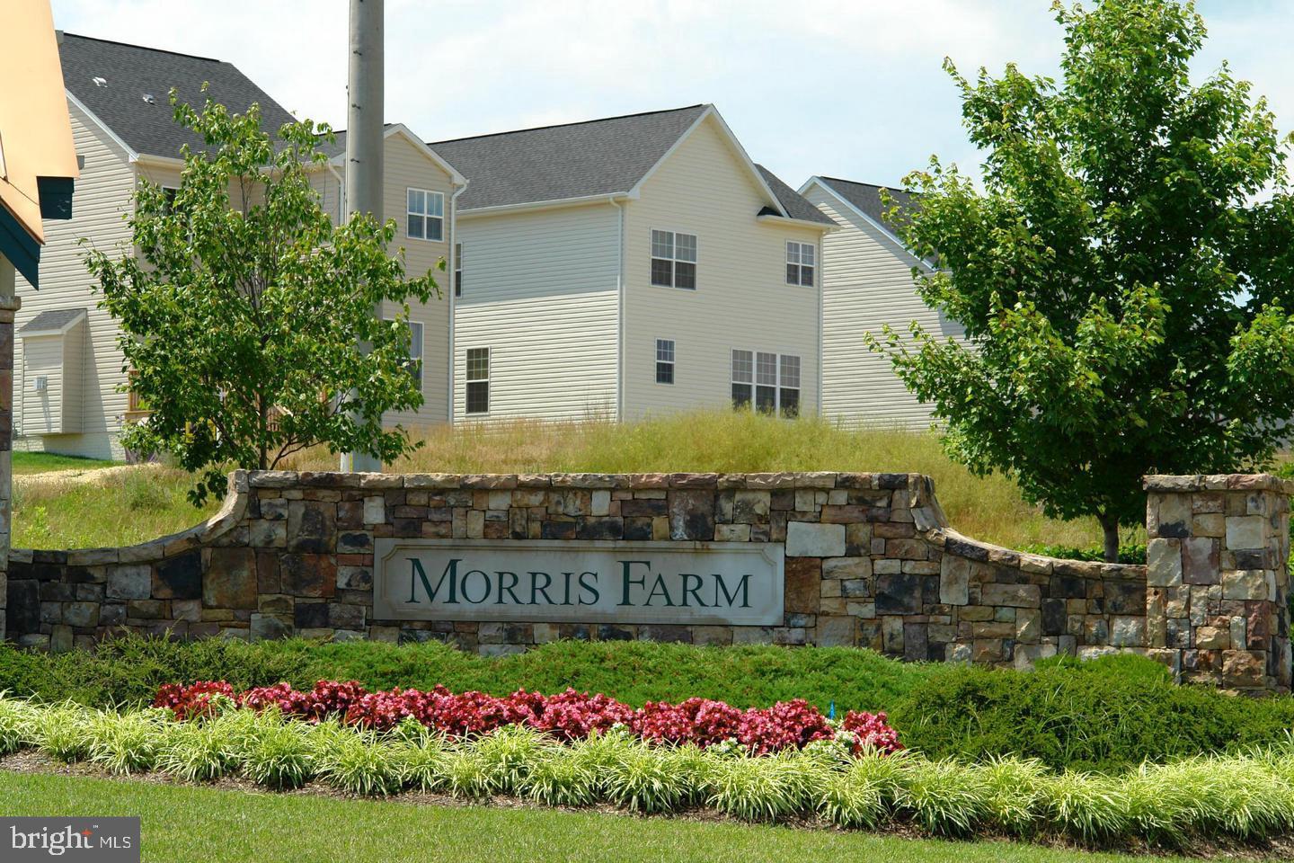 MEADOWS AT MORRIS FARM - Residential Lease
