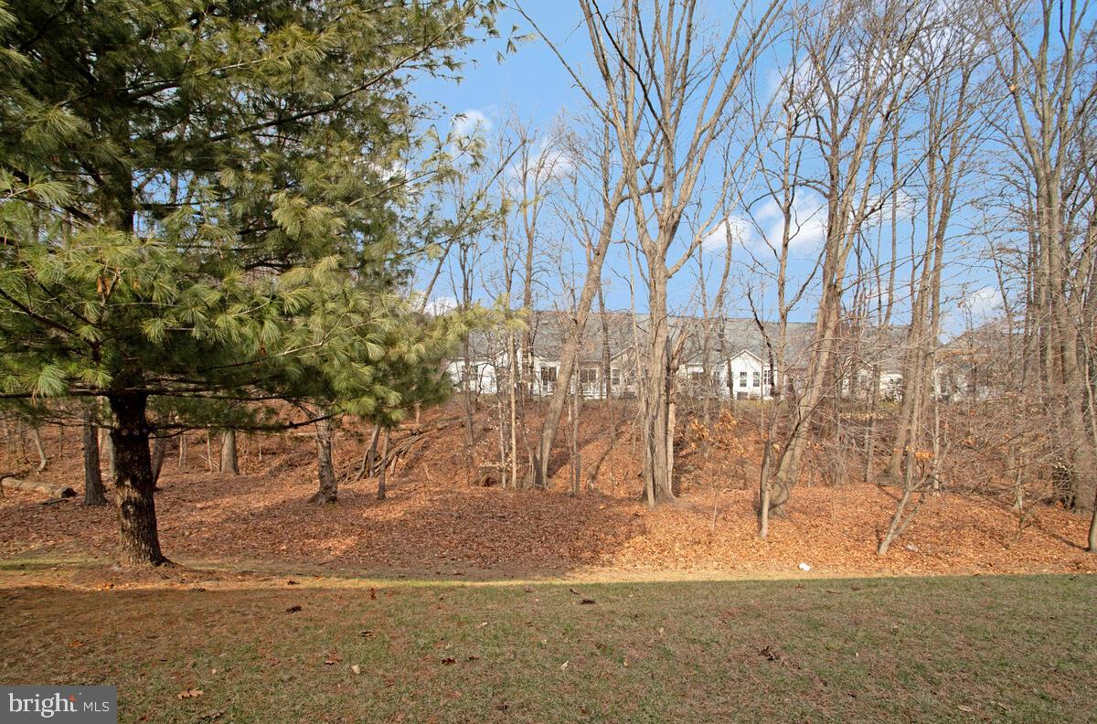 SNOWDEN OVERLOOK - Residential