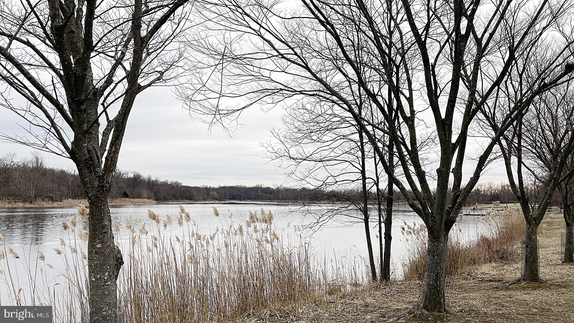 COLLEGE PARK - Residential