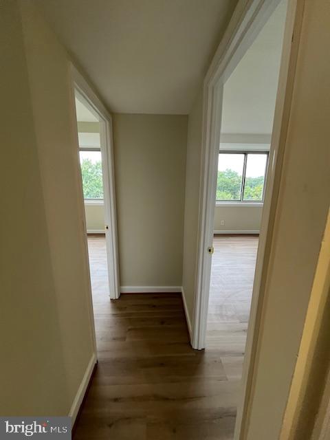 THE OGLETHORPE - Residential Lease