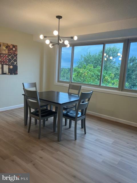 THE OGLETHORPE - Residential Lease