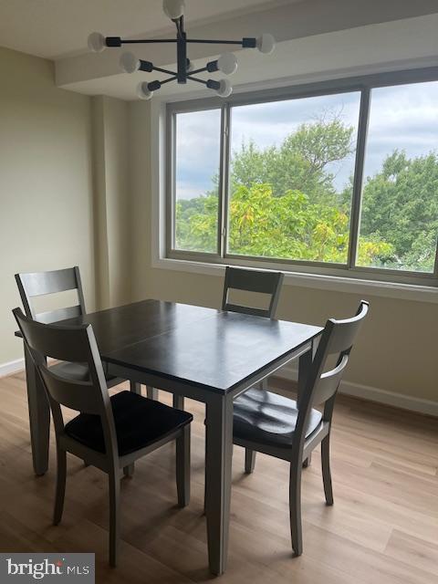 THE OGLETHORPE - Residential Lease