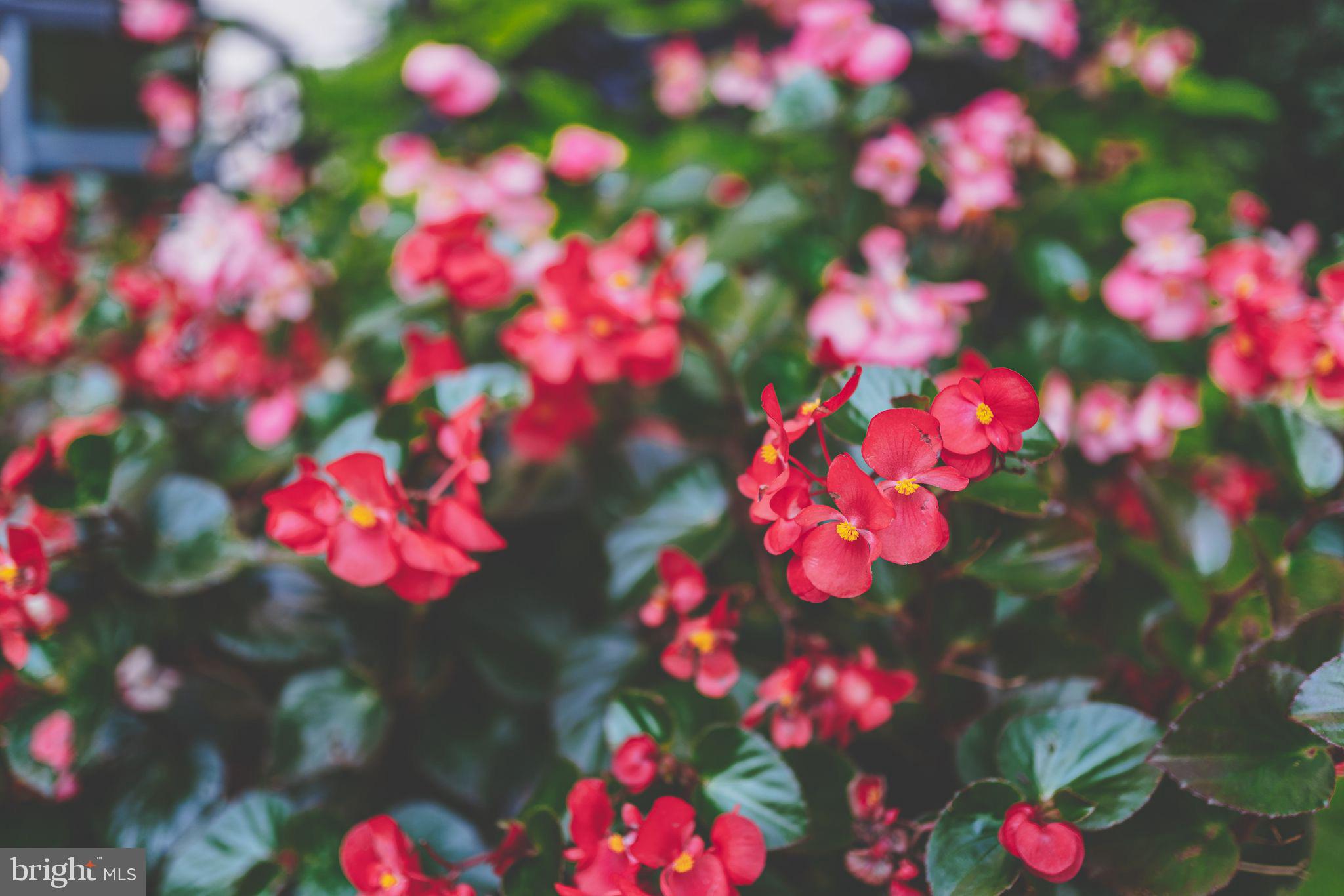 GROSVENOR PARK - Residential