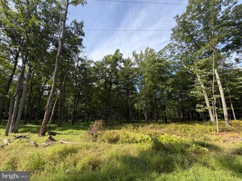 Photo for 578 CHAMONIX LANE