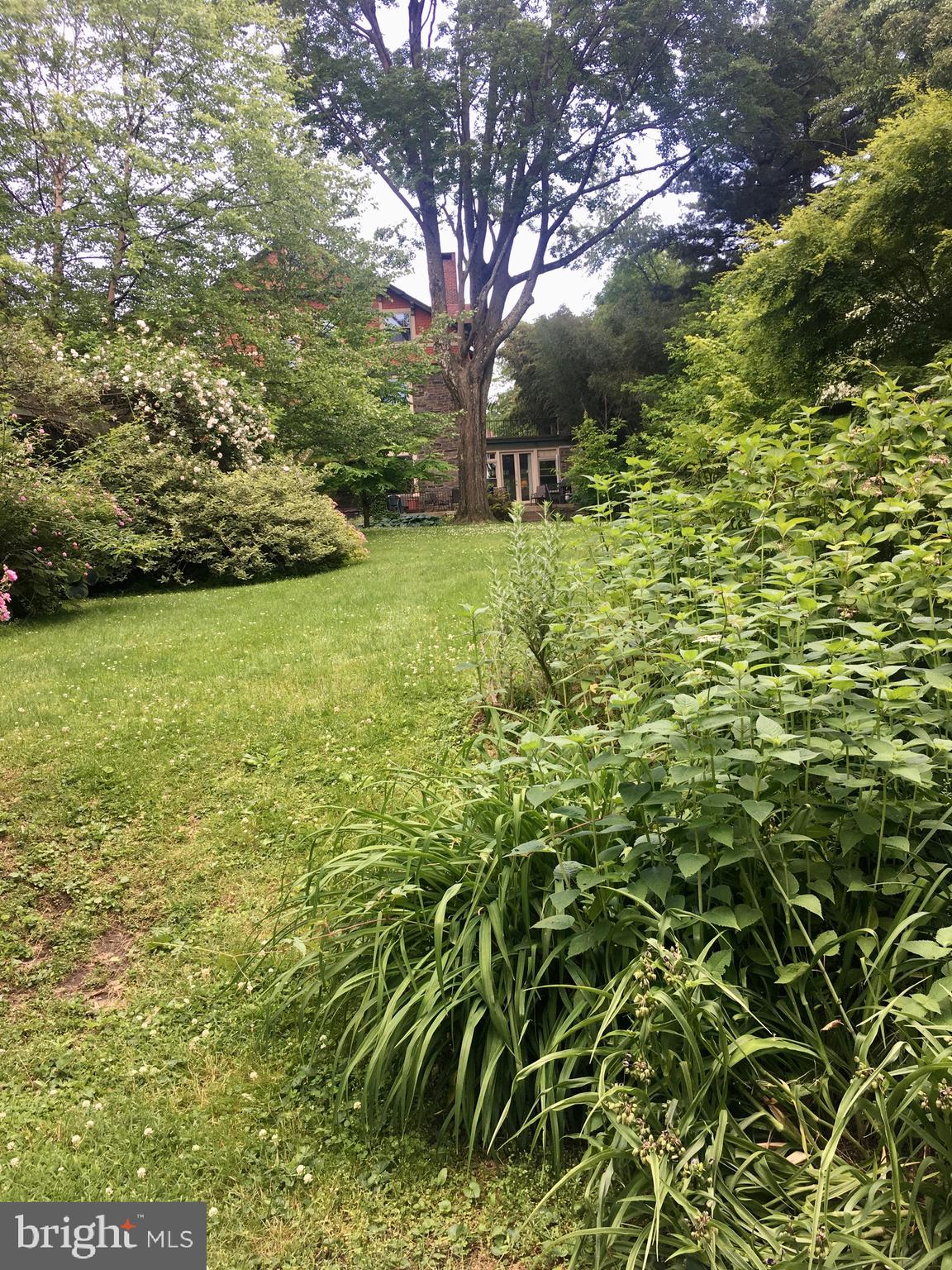 EAST MT AIRY - Residential