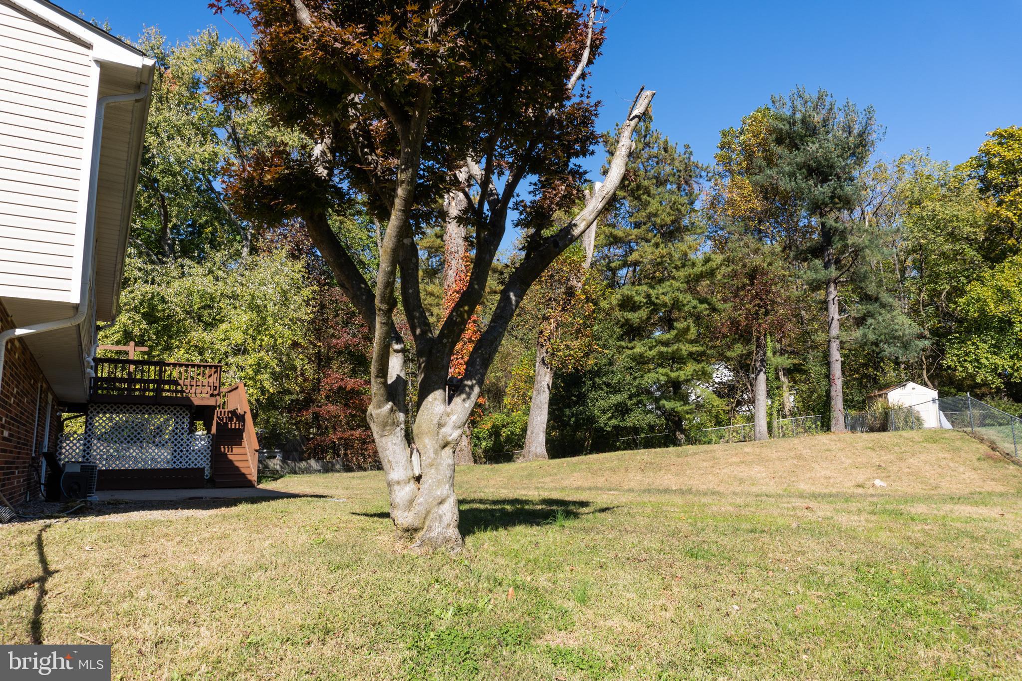 DALE CITY - Residential Lease