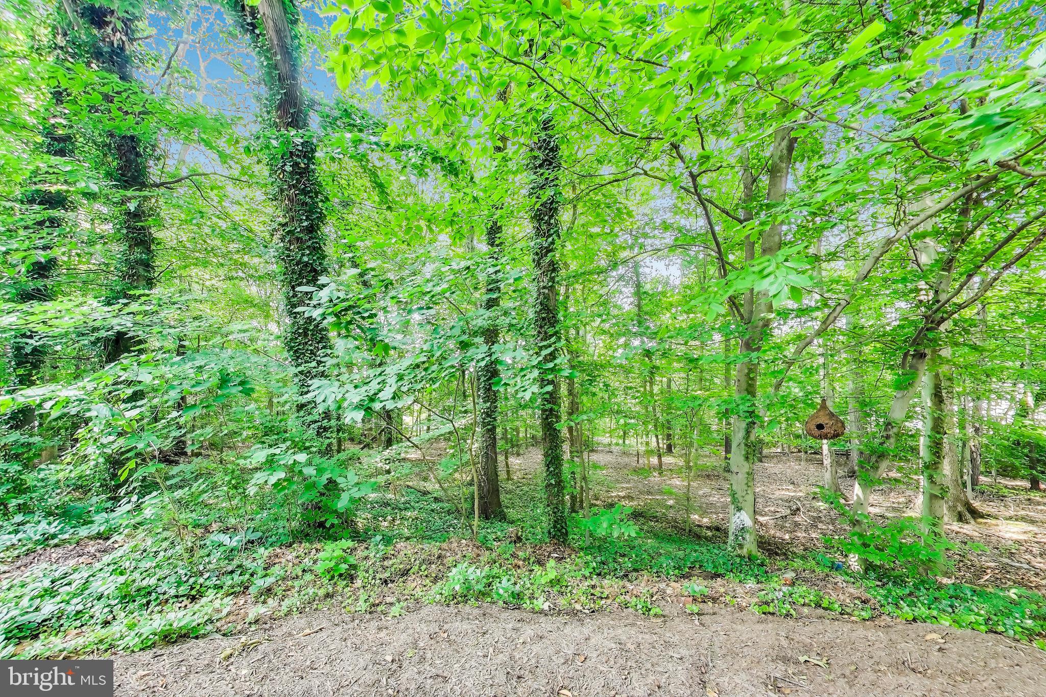 ASPENWOOD - Residential