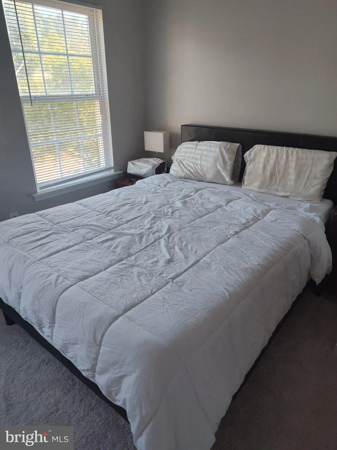 Additional image 14 of 21085 Jenna Court, Lexington Park, MD 20653