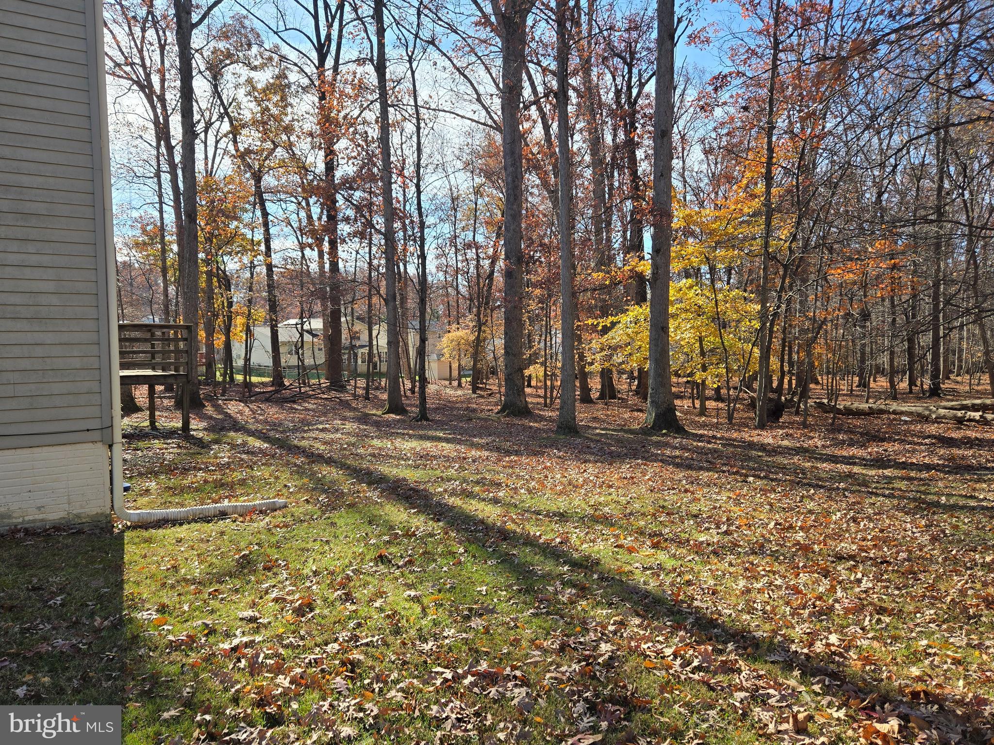 ELLICOTT MILLS - Residential Lease