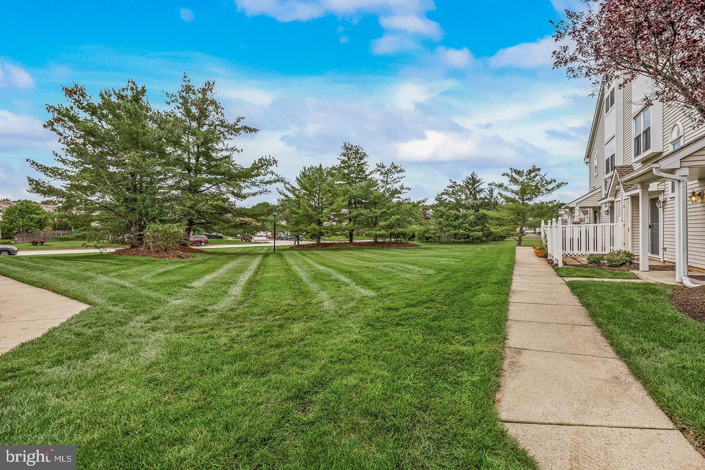 501 OLIPHANT LANE