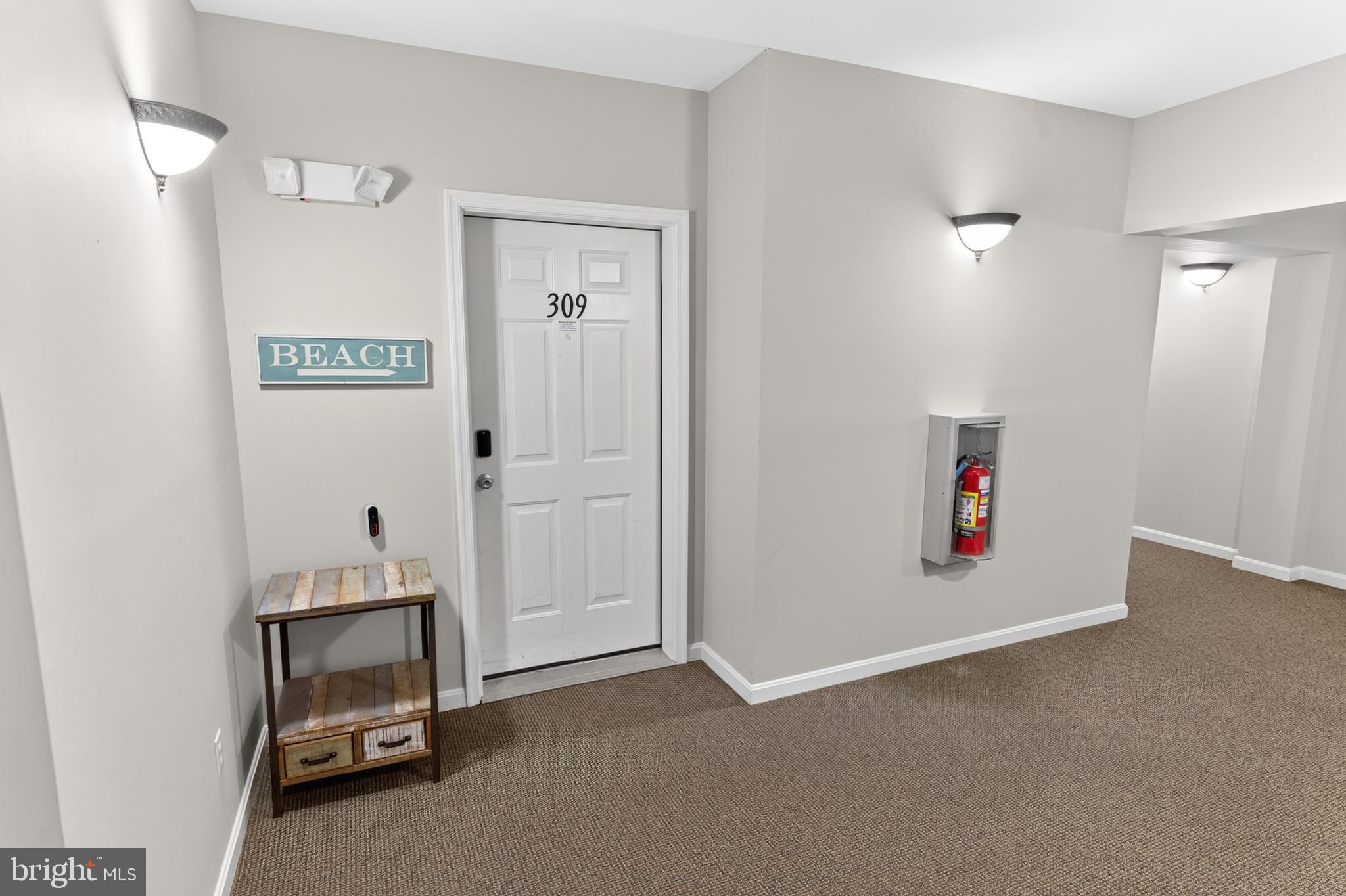 31568 WINTERBERRY PARKWAY 309