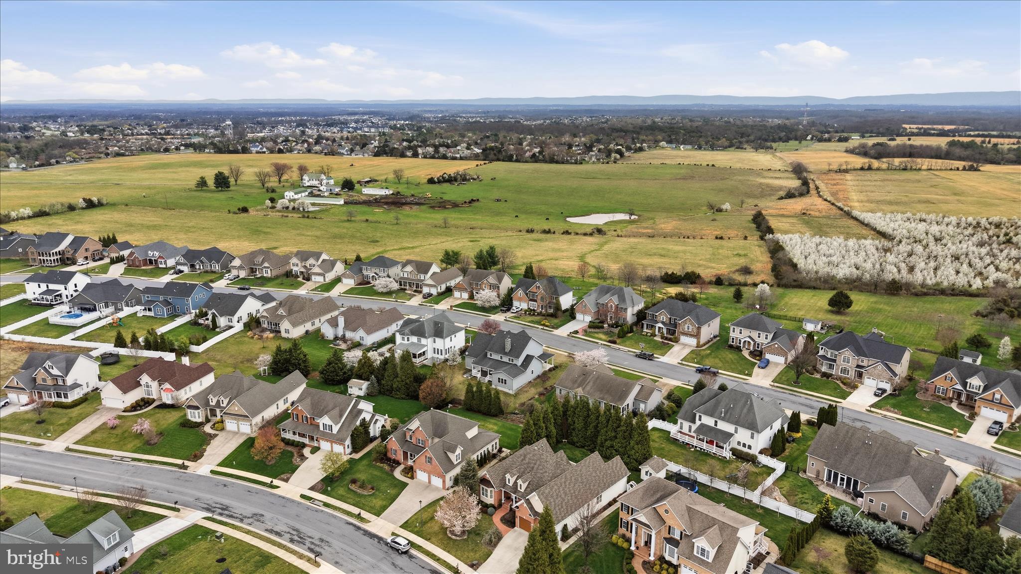 RAVEN POINTE - Residential