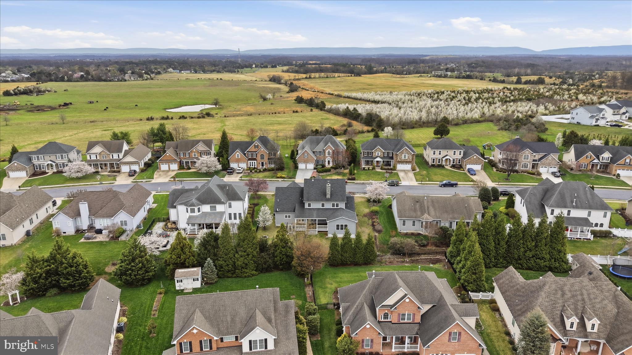 RAVEN POINTE - Residential