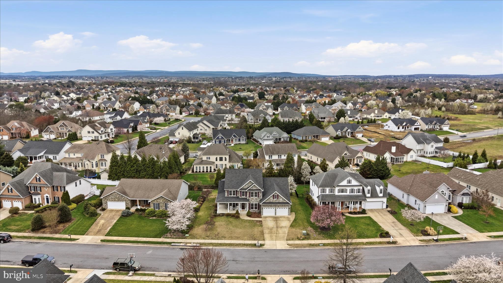 RAVEN POINTE - Residential